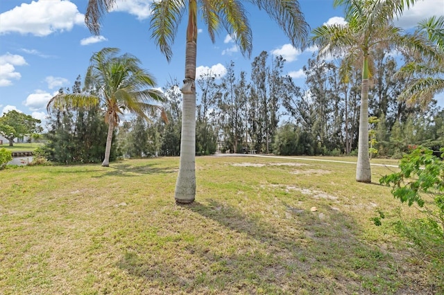 891 Palmetto Dr NE, Port Charlotte, FL 33952 - photo 29