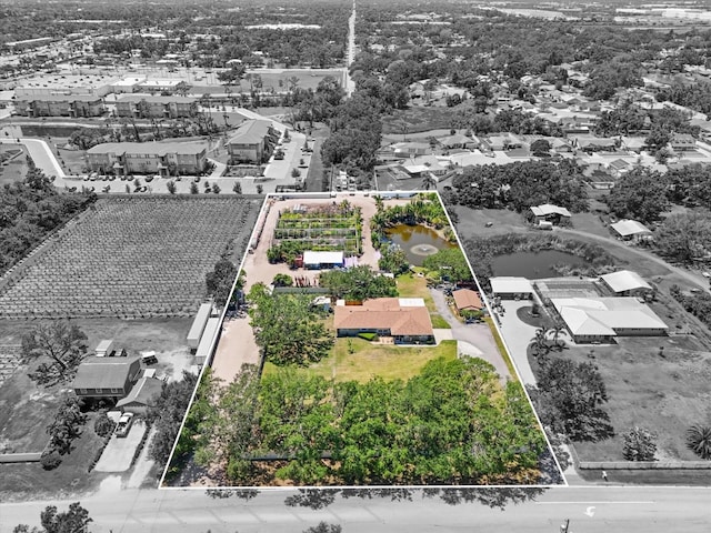 drone / aerial view