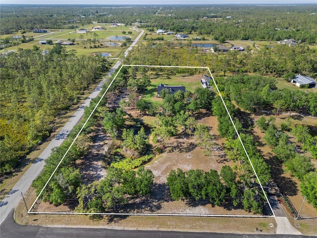 25305 83rd Ave E, Myakka City, FL 34251 - photo 68