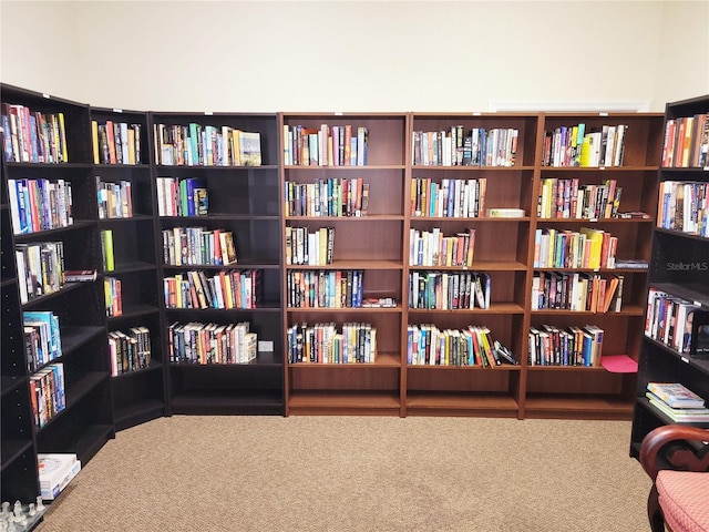 office view of carpet floors