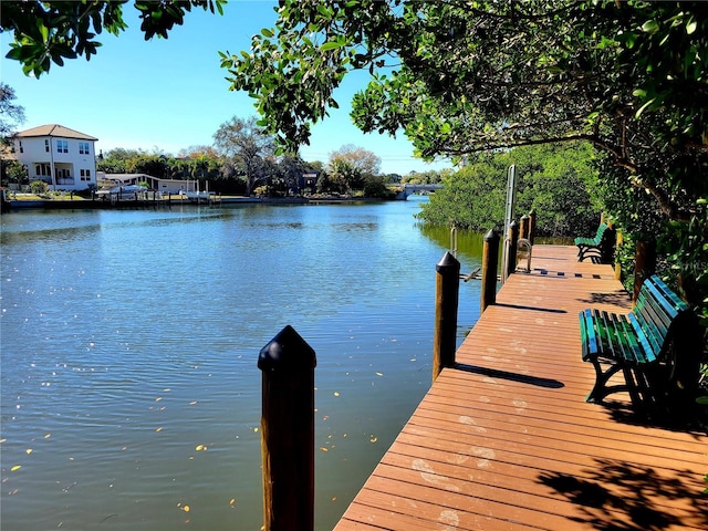 dock area featuring a water view