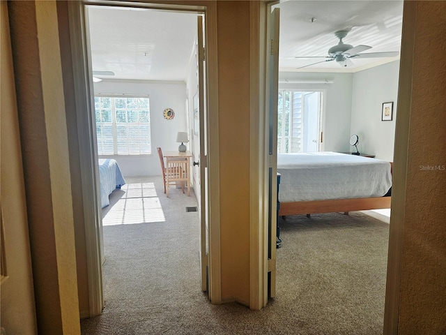 850 S Tamiami Trl Unit 529, Sarasota, FL 34236 - corridor with carpet, ornamental molding, and baseboards