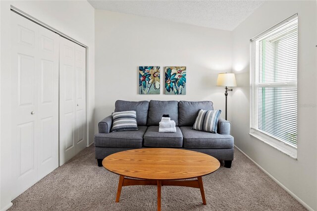 3909 40th St W, Bradenton, FL 34205 - carpeted living room featuring baseboards and a textured ceiling