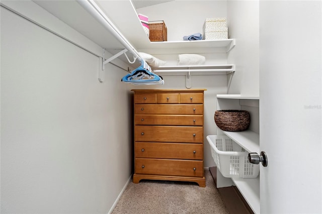 3909 40th St W, Bradenton, FL 34205 - view of spacious closet