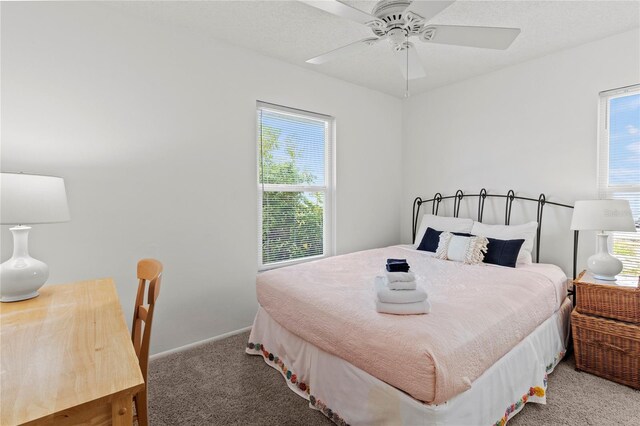 3909 40th St W, Bradenton, FL 34205 - bedroom with baseboards, ceiling fan, and carpet flooring