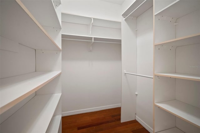 spacious closet featuring wood finished floors