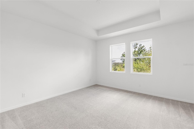 spare room featuring baseboards, carpet floors, and a raised ceiling