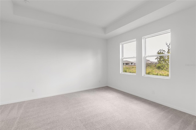carpeted spare room with baseboards and a raised ceiling