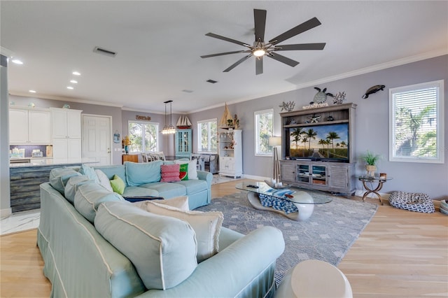 living room with a ceiling fan, crown molding, light wood-style floors, and visible vents