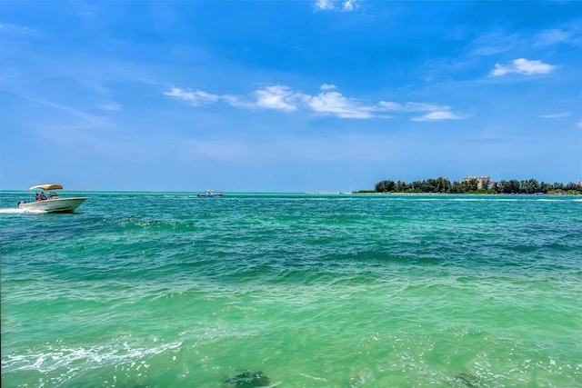 4050 Higel Ave, Sarasota, FL 34242 - property view of water