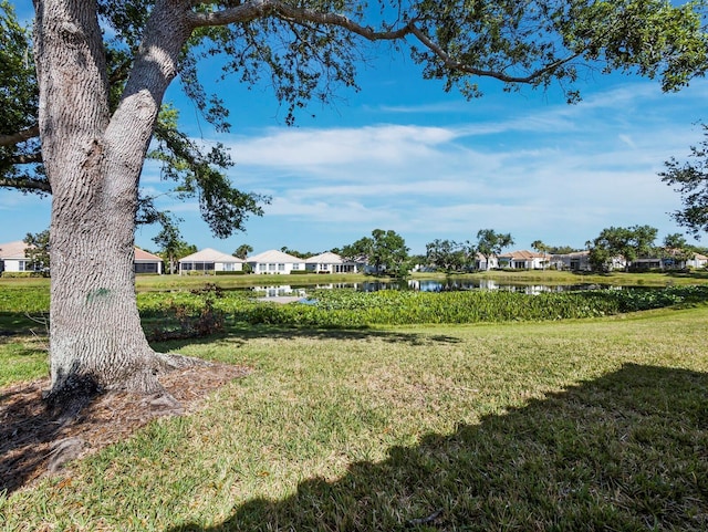 3835 Alamanda Dr, Sarasota, FL 34238 - view of grassy yard featuring a water view and a residential view
