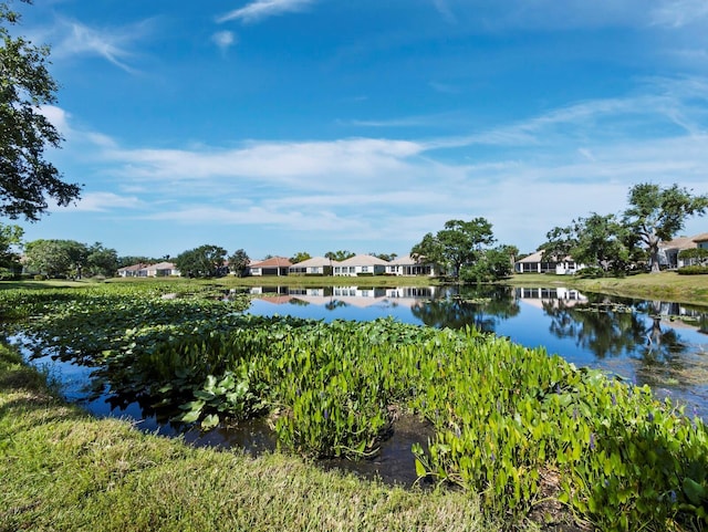 3835 Alamanda Dr, Sarasota, FL 34238 - photo 32