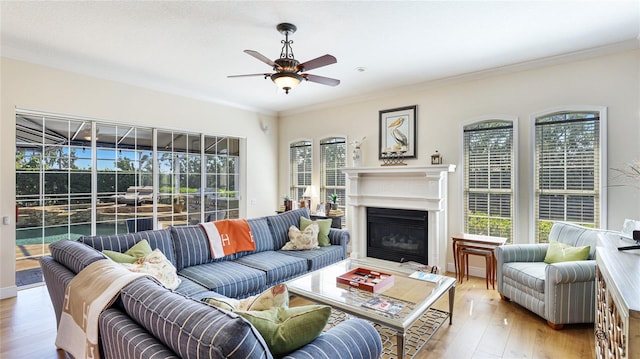 living room with ornamental molding, a ceiling fan, light wood-type flooring, and a wealth of natural light