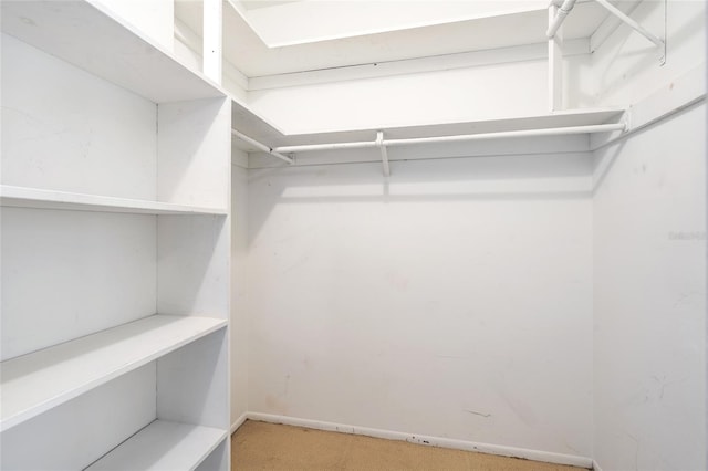 5521 Riverbluff Cir Unit V-10, Sarasota, FL 34231 - spacious closet featuring carpet floors