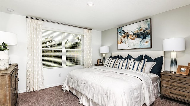 8596 Lunar Skye St, Sarasota, FL 34241 - bedroom featuring baseboards and carpet