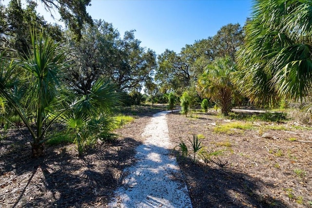 10616 High Noon Trl, Parrish, FL 34219 - view of road
