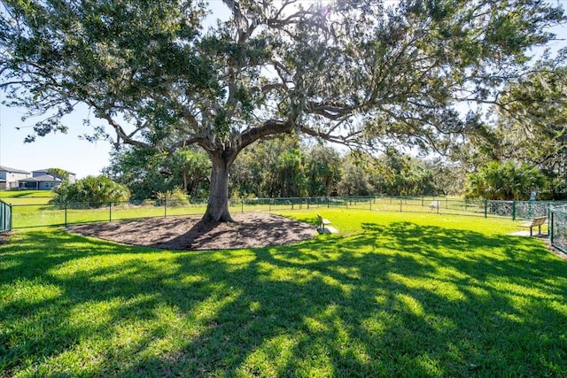 10616 High Noon Trl, Parrish, FL 34219 - view of yard with fence