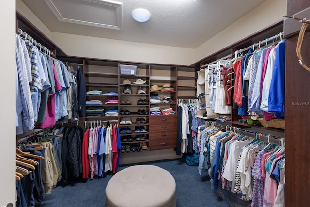 2397 Vaccaro Dr, Sarasota, FL 34231 - walk in closet featuring attic access and carpet floors