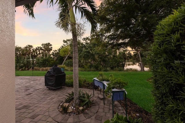 2397 Vaccaro Dr, Sarasota, FL 34231 - patio terrace at dusk with a lawn and view of scattered trees