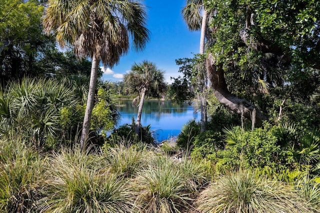 2397 Vaccaro Dr, Sarasota, FL 34231 - water view