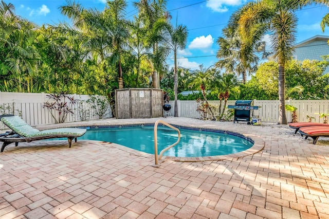 426 Magnolia Ave, Anna Maria, FL 34216 - view of swimming pool featuring grilling area, a fenced backyard, a patio, and a fenced in pool