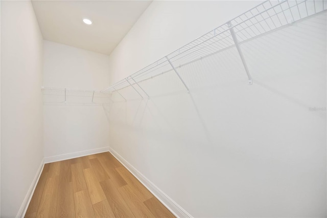 10455 Wet Marsh Cv, Parrish, FL 34219 - walk in closet featuring light wood-style floors
