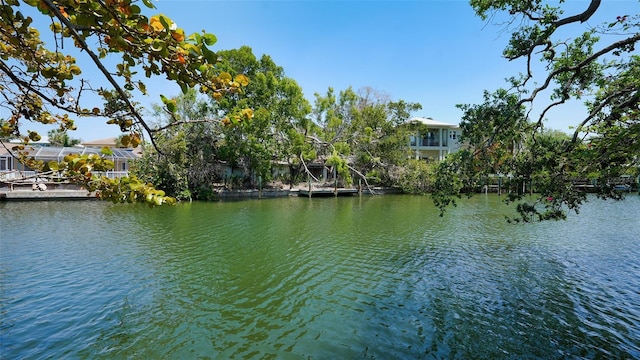 5033 Oxford Dr, Sarasota, FL 34242 - photo 20