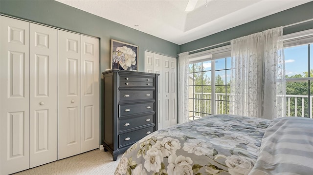 9008 White Sage Loop Unit 3605, Lakewood Ranch, FL 34202 - bedroom with multiple windows, two closets, and light colored carpet