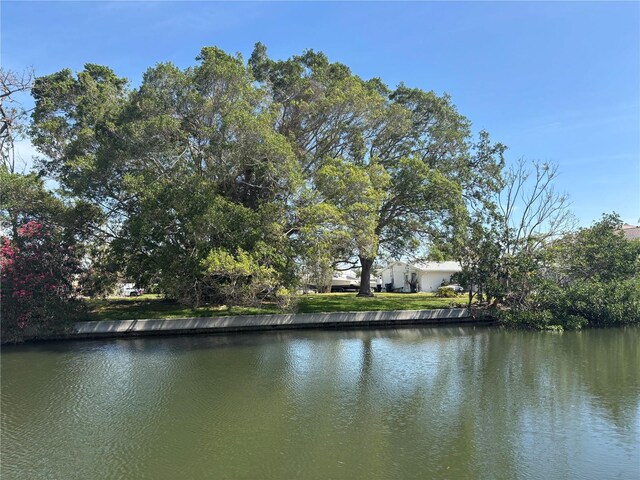 4417 Dolphin Ln, Palmetto, FL 34221 - photo 1