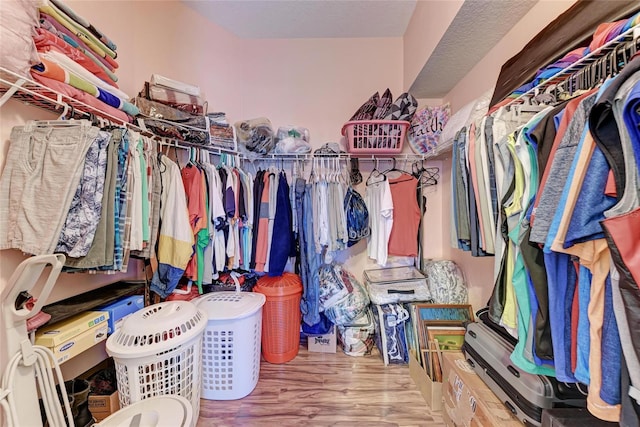 spacious closet featuring wood finished floors