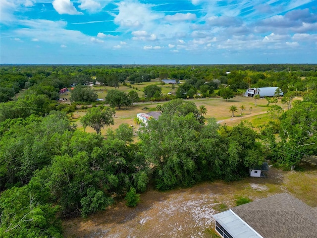 bird's eye view of a forest
