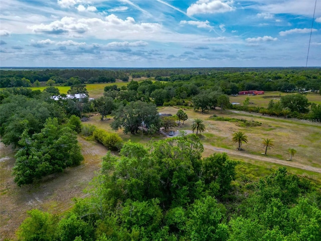 overview of rural landscape with a forest