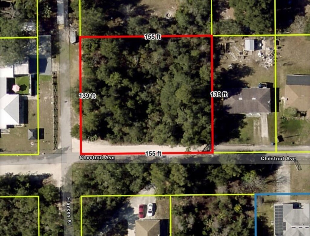Chestnut Ave, Orange City, FL 32763 - photo 4