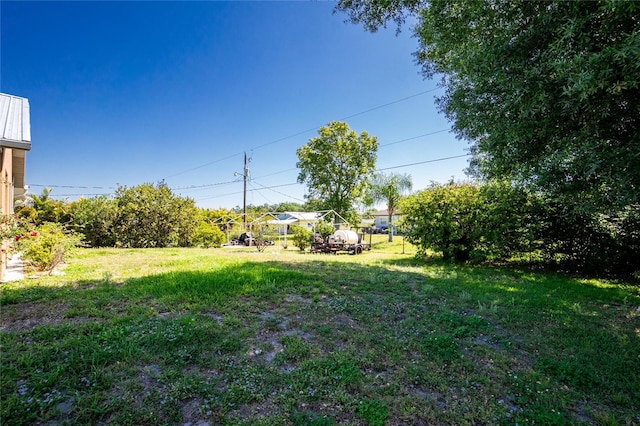 view of yard