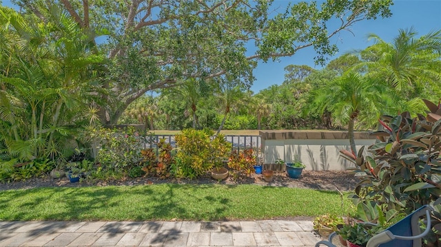 4691 Las Brisas Ln, Sarasota, FL 34238 - view of yard