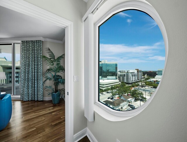 1771 Ringling Blvd Unit 1104, Sarasota, FL 34236 - details with crown molding, a view of city, baseboards, and wood finished floors