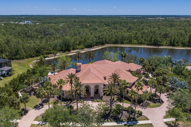 bird's eye view with a water view and a view of trees