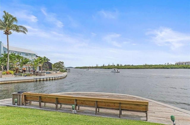 water view featuring a boat dock