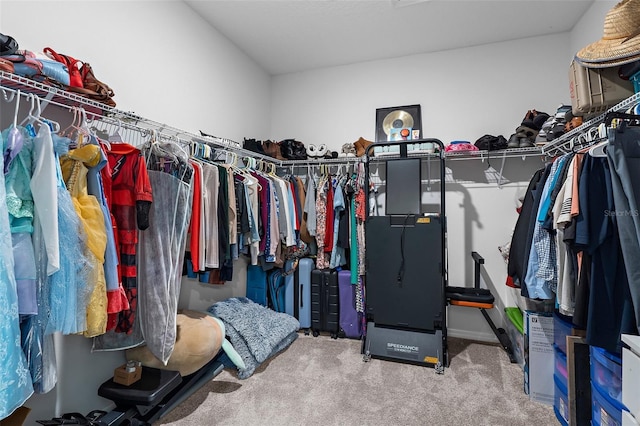 walk in closet featuring carpet