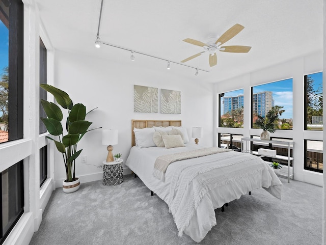 carpeted bedroom featuring track lighting