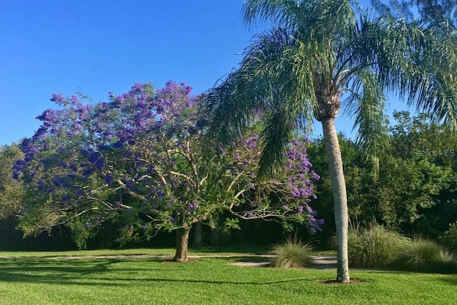 view of home's community with a lawn