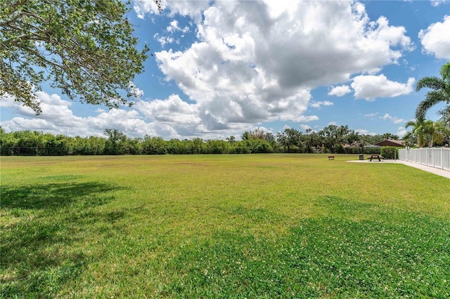 4610 Runabout Way, Bradenton, FL 34203 - view of yard