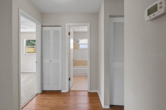 3505 27th Ave W, Bradenton, FL 34205 - hall featuring wood finished floors and baseboards
