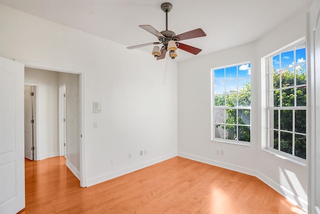 1125 English Garden Ln, Winter Garden, FL 34787 - empty room with light wood finished floors, baseboards, and ceiling fan
