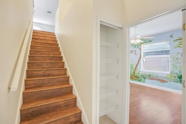 1125 English Garden Ln, Winter Garden, FL 34787 - staircase with baseboards and wood finished floors