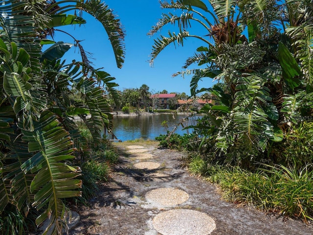 water view