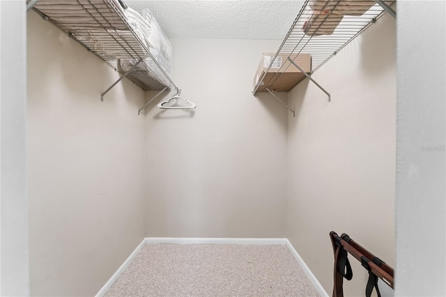 6460 Mourning Dove Dr Unit 102, Bradenton, FL 34210 - walk in closet featuring carpet floors