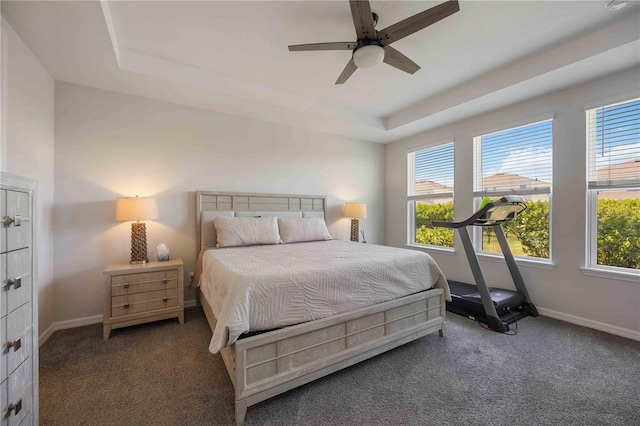bedroom featuring a tray ceiling, carpet, and multiple windows
