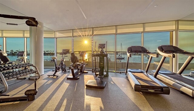 280 Golden Gate Pt Unit 600, Sarasota, FL 34236 - exercise room featuring expansive windows