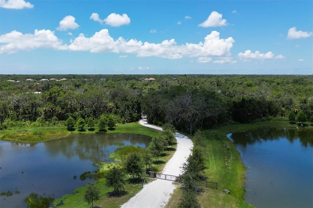 15518 29th St E, Parrish, FL 34219 - drone / aerial view of a heavily wooded area and a large body of water
